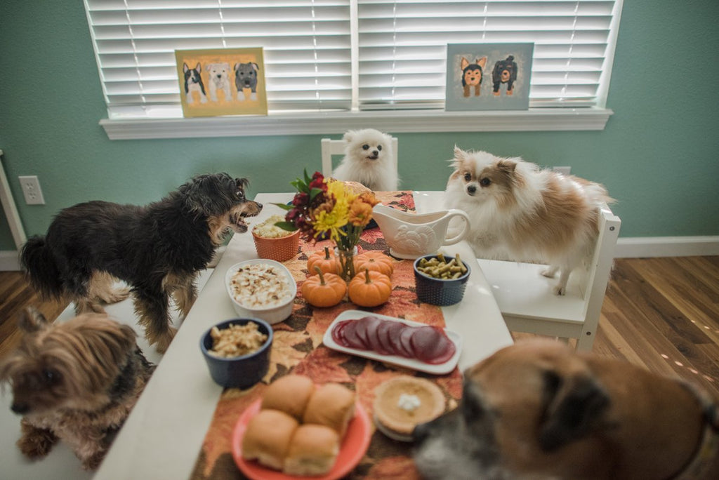 Thanksgiving Dinners for Pets